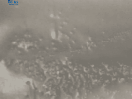 tpu膜 TPU防水透湿膜 本色中高透 tpu膜卷材 型号：ZC-ZGD-0.025