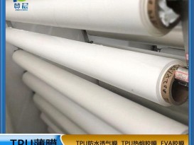 TPU聚酯环保防水高透湿薄膜厚0.03mm功能薄膜生产厂家免费拿样